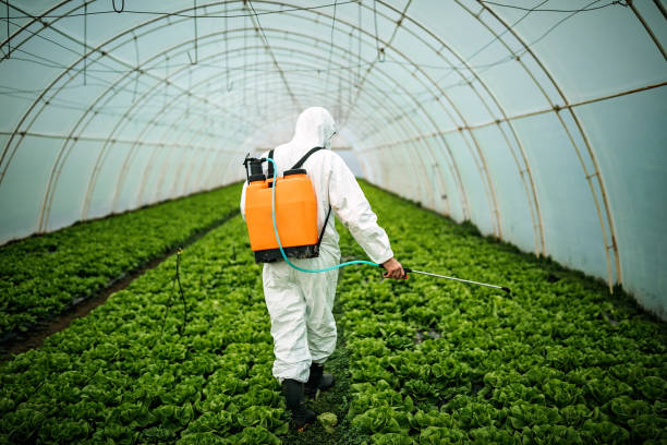 Best Best Pest Control Companies  in Fayette, MO