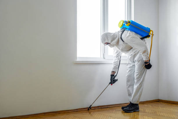 Best Cockroach Control Services  in Fayette, MO