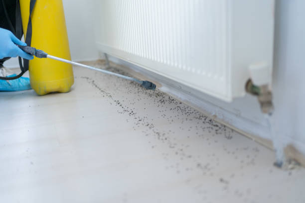 Best Residential Pest Control  in Fayette, MO