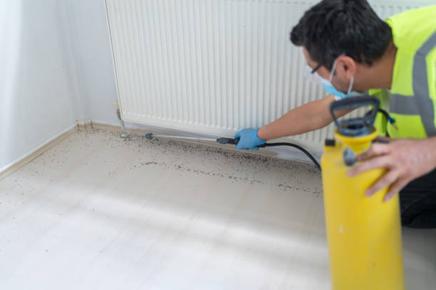 Best Exterminator Services  in Fayette, MO