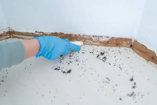 Best Affordable Pest Control Services  in Fayette, MO